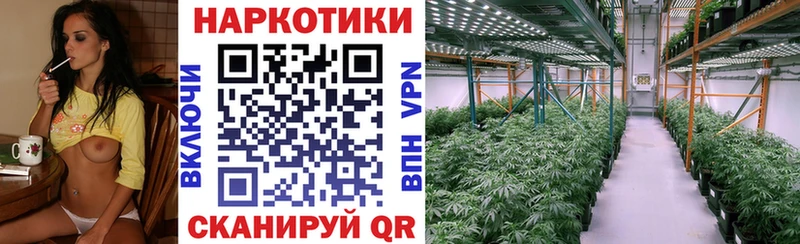Цена Приволжск Гашиш  Марихуана  Alpha PVP  МЕФ  КОКАИН 