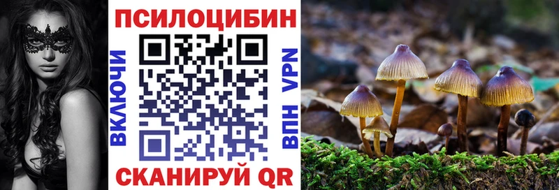 Псилоцибиновые грибы мухоморы  Приволжск 